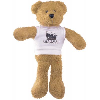 Picture of 9'' Scraggy Bear with White T Shirt