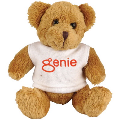 Picture of 5" Robbie Bear with White T Shirt