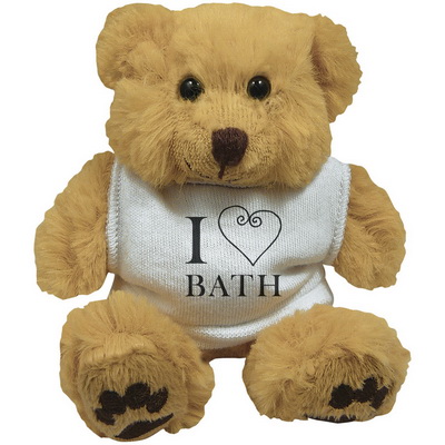 Picture of 5" Dexter Bear with White T Shirt