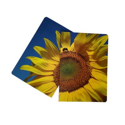 Picture of Rampton ECOlour Flexi A5 Notebook