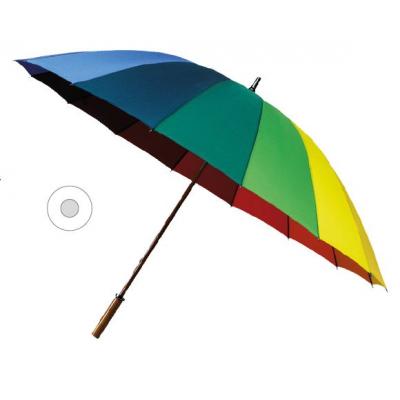 Picture of Rainbow Walker