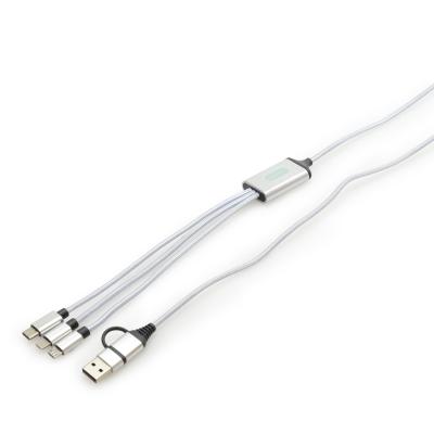 Picture of 6 in 1 Light Up Charger
