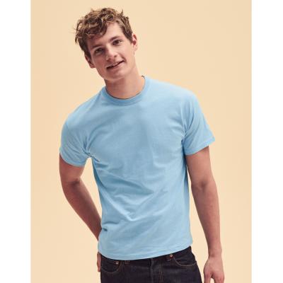 Picture of Fruit of The Loom Men's Original T