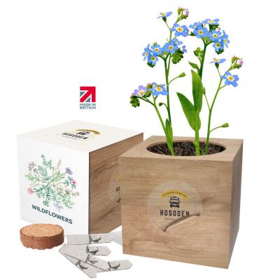 Picture of Essential Desktop Cube Gardens