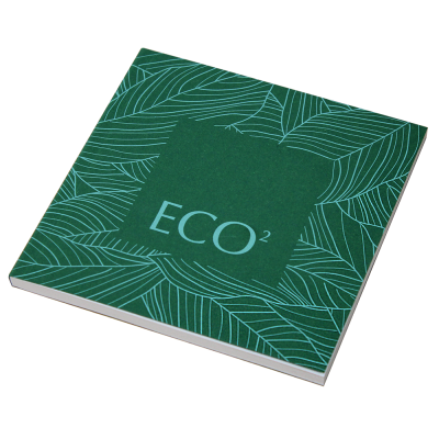 Picture of EcoÂ²