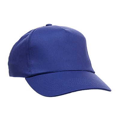 Picture of Tom Franks Premium 5 Panel Cap