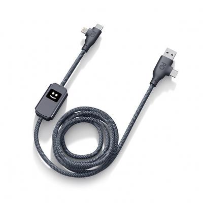 Picture of Xoopar Allure 100W Fast Charge Cable
