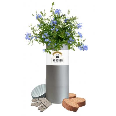Picture of Desktop Tube Gardens
