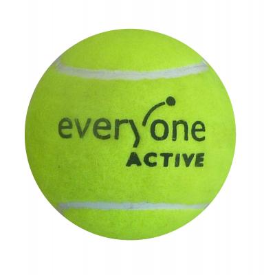 Picture of Promotional Tennis Ball