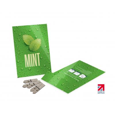 Picture of Medium Seed Packet Envelope Gloss